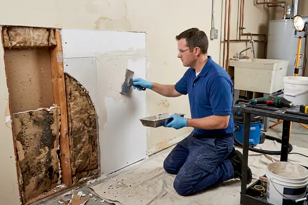 Mold and Drywall Repair Chino Hills