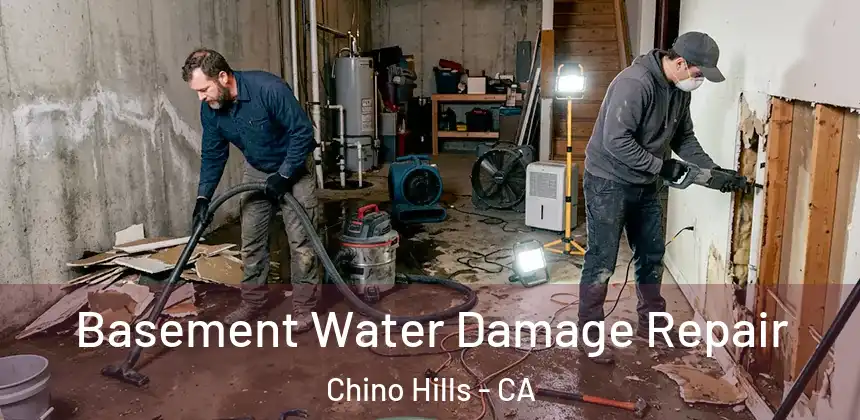  Basement Water Damage Repair Chino Hills - CA