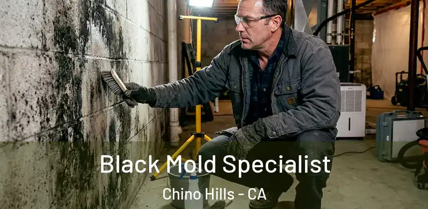  Black Mold Specialist Chino Hills - CA