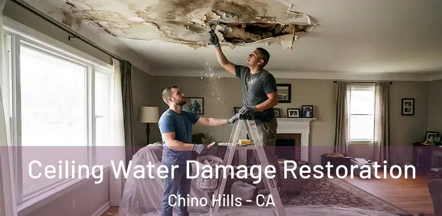  Ceiling Water Damage Restoration Chino Hills - CA