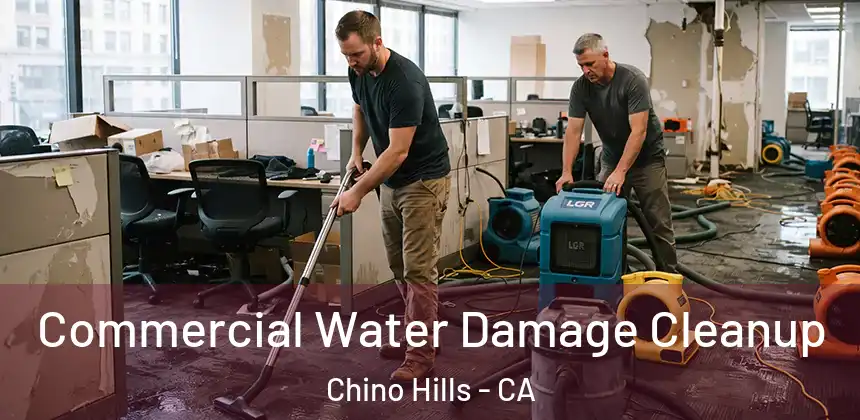  Commercial Water Damage Cleanup Chino Hills - CA