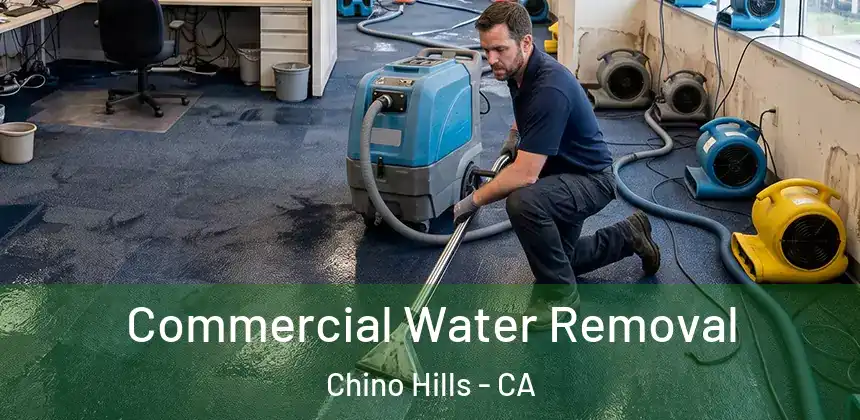  Commercial Water Removal Chino Hills - CA