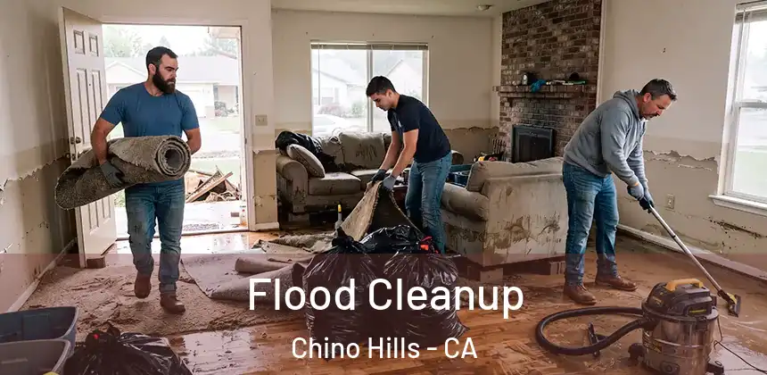  Flood Cleanup Chino Hills - CA