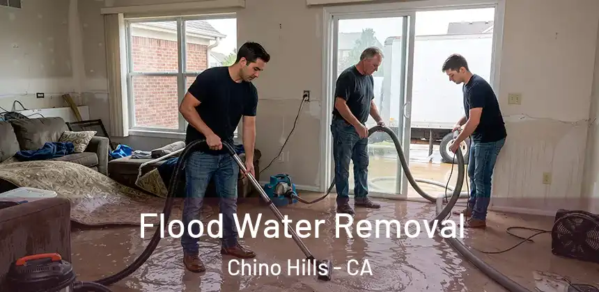  Flood Water Removal Chino Hills - CA
