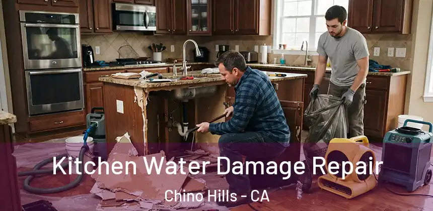  Kitchen Water Damage Repair Chino Hills - CA