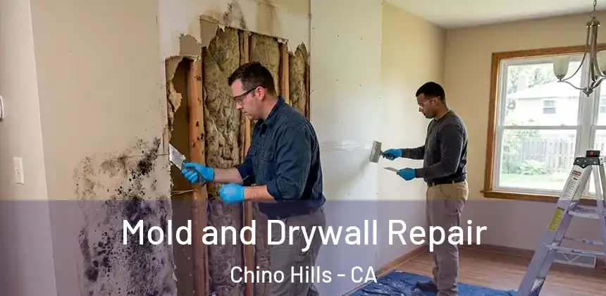  Mold and Drywall Repair Chino Hills - CA