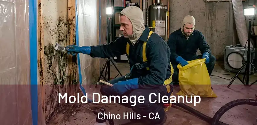  Mold Damage Cleanup Chino Hills - CA
