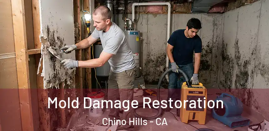  Mold Damage Restoration Chino Hills - CA