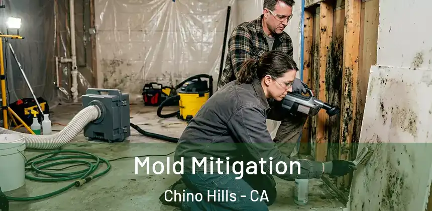  Mold Mitigation Chino Hills - CA