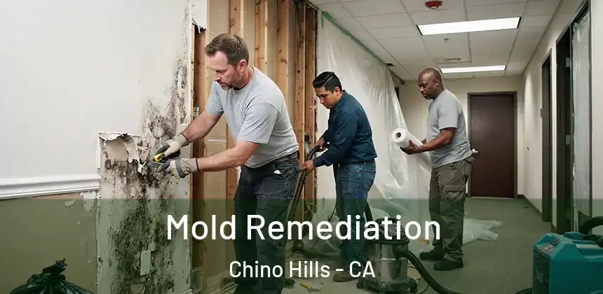  Mold Remediation Chino Hills - CA