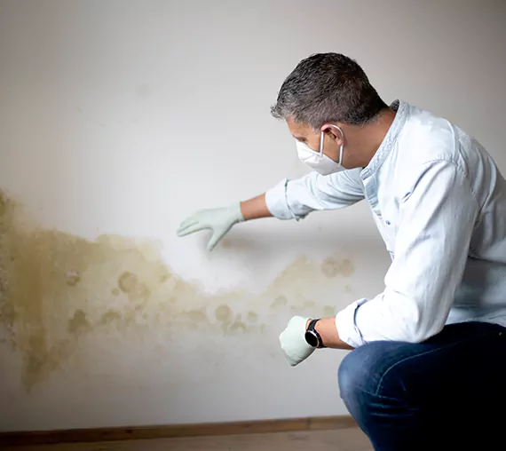 Mold Removal Service in Chino Hills, CA