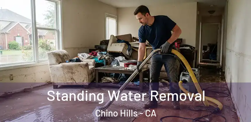  Standing Water Removal Chino Hills - CA