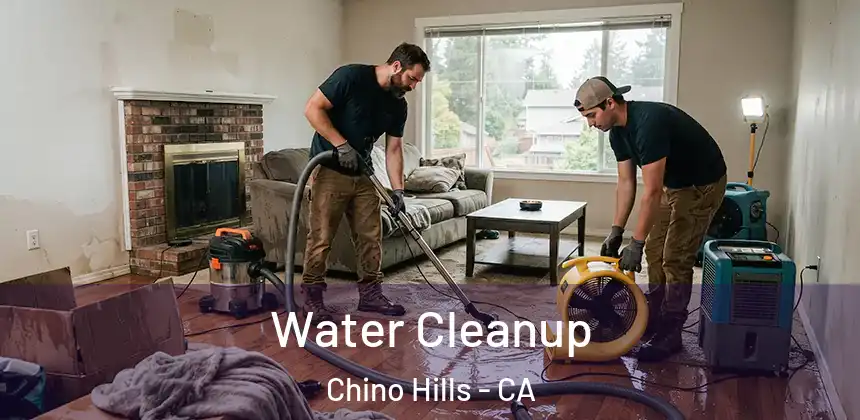  Water Cleanup Chino Hills - CA