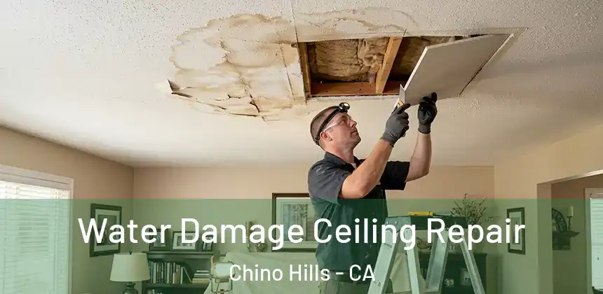  Water Damage Ceiling Repair Chino Hills - CA