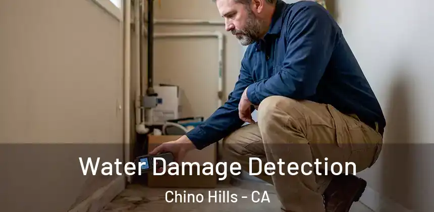  Water Damage Detection Chino Hills - CA