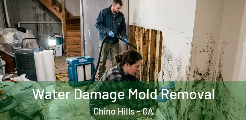  Water Damage Mold Removal Chino Hills - CA