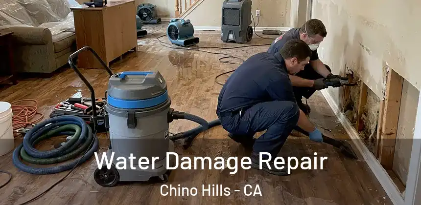  Water Damage Repair Chino Hills - CA
