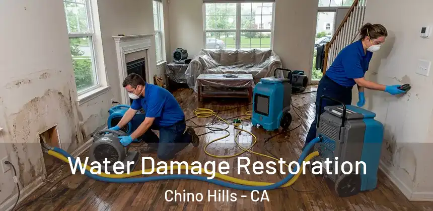  Water Damage Restoration Chino Hills - CA