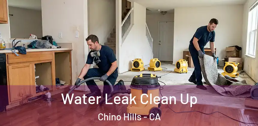 Water Leak Clean Up Chino Hills - CA