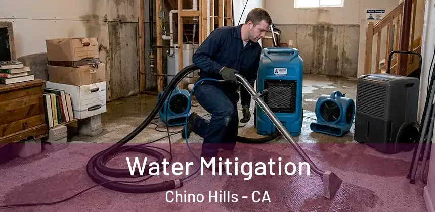  Water Mitigation Chino Hills - CA