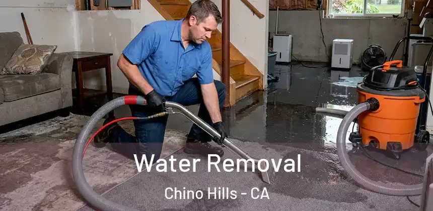  Water Removal Chino Hills - CA